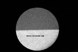 Delta 100 Stand 1hr.jpg