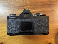 rs_IMG_3184.jpeg
