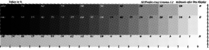 Screen Shot 2022-11-28 at 17.12.09.png