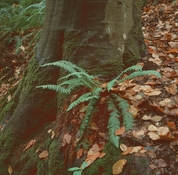 000094560002_s.jpg 000094560002_s.jpg