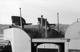 pic1.jpg