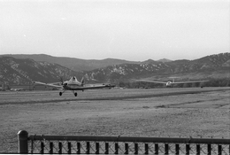 pic2.jpg