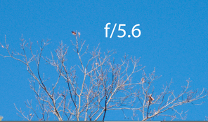 56.jpg