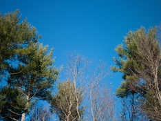56b.jpg