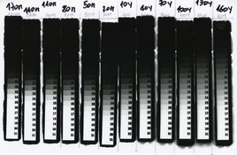 StepTablets_Ilford_MG001.jpg