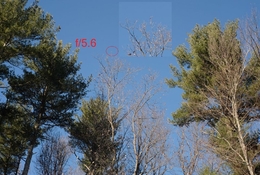 319633756_1808889849477215_6186246563338775000_n.jpg