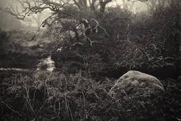 0005_landscape.jpg