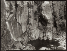BaseofBridalvailFallCarbon.jpg