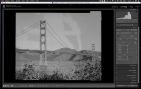 Artifacts_4x5_No_1.png