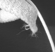 f45 detail.png