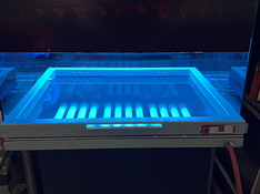 uv1.jpg