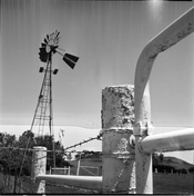 polaroid-_50_1_50.jpg