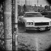 polaroid--8_30.jpg
