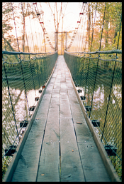 51624971552_5a3c0bd695_k.jpg