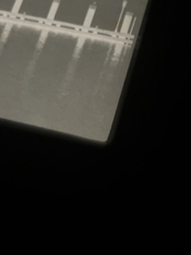 267702DC-7484-4BDC-AB94-5B765B218707.jpeg