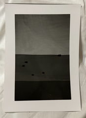 BE796C0B-9063-4088-B053-8EC440B426C5.jpeg