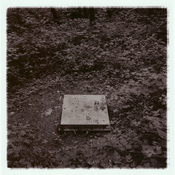 5-Covered-810x810.jpg