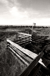 Zig-13d-2023-01-10-res 1024.jpg