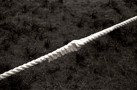 Cable-44c-2023-01-10-res 1024.jpg