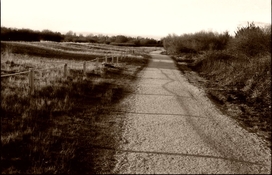 Shadows and Fences-18d-2023-01-10-res 1024.jpg