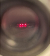 227BDE4C-4521-4103-8DE9-D7E3402E6404.jpeg