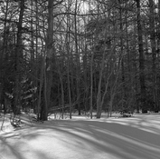img418.jpg