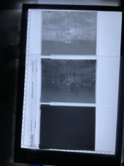 IMG_0016 Large.png