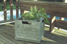 eterna-test2-1aa.jpg