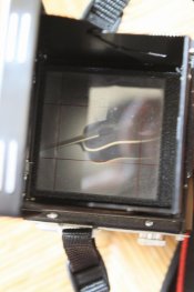 IMG_4224 (Large).JPG