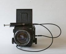 DSC_8092.jpg