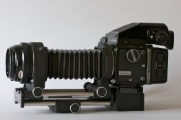 DSC_8107.jpg