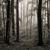 2011 Middle Village Rd.jpg