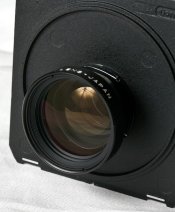 _MG_9062.jpg