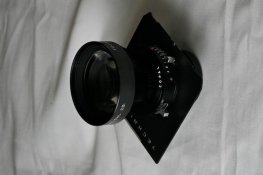 _MG_9064.jpg