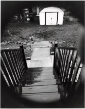 speedex 1.jpg