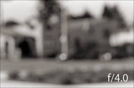 f4-0+Mimi+Amy+ContaxRTSII+85f1-8Planar+Plus-X+HC-110dilH+9min+20C+1minAg2x+04-2012+VSmac+9000+Sc.jpg