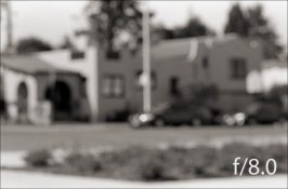 f8-0+Mimi+Amy+ContaxRTSII+85f1-8Planar+Plus-X+HC-110dilH+9min+20C+1minAg2x+04-2012+VSmac+9000+Sc.jpg
