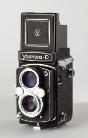 YaschicaD_2.jpg