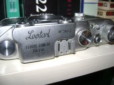 leo-2.JPG