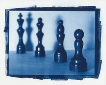 Checkmate Cyanotype.jpg