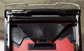 Polaroid-4.jpg