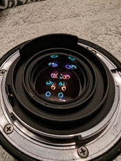 327748880_1238372173433841_992686471022882832_n.jpg