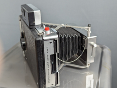 PXL_20230227_164205067.jpg