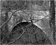 Causey Arch, County Durham.jpg