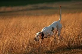 images (7).jpg