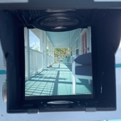 IMG_7166.jpeg