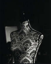 In Camera Paper Negative Black and White Reversal Process.jpg