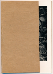 ansel-adams-4.jpg