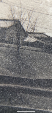 486200AD-BCAA-400C-B5D0-7CCC3271E86F.jpeg