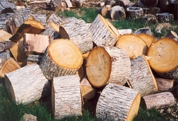 LOGS.JPG